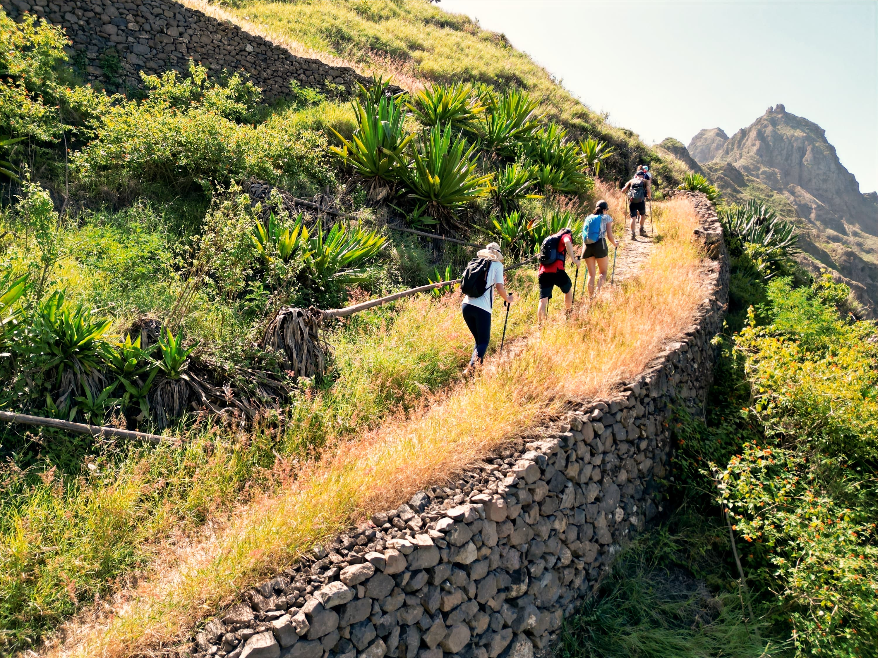 Senderista en las verdes crestas de Santo Antão, Cabo Verde